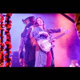 Bearly Dead Martes 9 Diciembre 2025