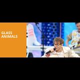 Glass Animals Martes 13 Agosto 2024