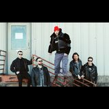 Highly Suspect Flight Attendant Lunes 8 Diciembre 2025