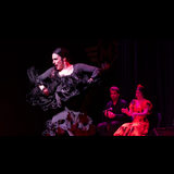 TABLAO: An Intimate Flamenco Experience TABLAO: An Intimate Flamenco Experience Viernes 11 Abril 2025