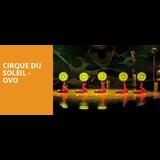 Cirque Du Soleil - Ovo Del Jueves 20 Junio al Sabado 22 Junio 2024