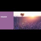HaAsh Viernes 8 Noviembre 2024