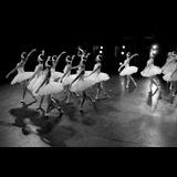 New York City Ballet: Swan Lake Del Miercoles 19 Febrero al Sabado 22 Febrero 2025