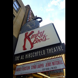 Al Hirschfeld Theatre New York
