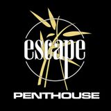Escape Penthouse