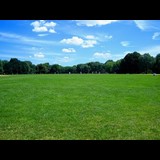 Great Lawn at Central Park