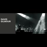 David Gilmour From Monday 4 November to Wednesday 6 November 2024