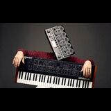 LAERZ Thursday 29 January 2026