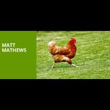 Matt Mathews Sunday 27 October 2024