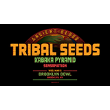 TRIBAL SEEDS Wednesday 5 March 2025