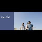 Wallows Friday 23 August 2024
