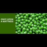 Once Upon a Mattress From Wednesday 31 July to Saturday 30 November 2024