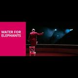 Water for Elephants From Saturday 24 February to Wednesday 21 August 2024